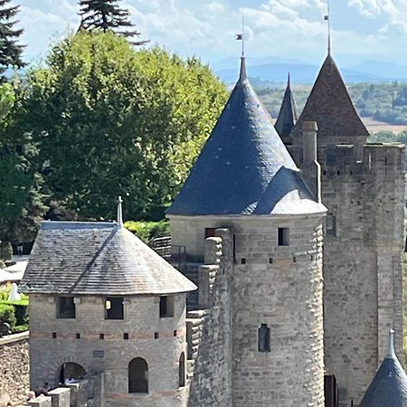 Appartement Tres Calme, Rdc, 800 M De La Cite Medievale Classee Au Patrimoine De L'Unesco Carcassonne Exterior photo